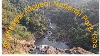 Dudhsagar Melle National Park Goa,  Train toure ! दुधसागर मोल्लेम राष्ट्रीय पार्क, गोवा! 