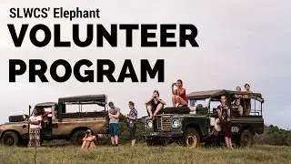 Travel 4 Change: Volunteering with the Sri Lanka Wildlife Conservation Society