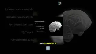 Neuralink: Telepathy, Blindsight, & Brain Interface Explained!