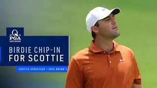 Scottie Scheffler Chips In for Birdie | 2025 PGA Championship