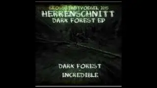 Herrenschnitt - Dark Forest (Djulien Ferrantes Remix)