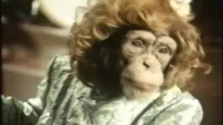 PG Tips Chimpanzee's Get Married Vintage British TV  Commercial