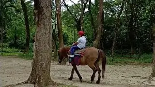 FUN FARM HORSE RIDING