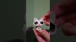 Unboxing NEW Series 4 LPS Pet Pairs + PAW CODES! #asmr #littlestpetshop #lps #asmrvideo #series