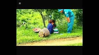 A Single Mother&rsquo;s Day in the Forest and a Police Officer&rsquo;s Support