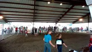 2023 Adams County Clover Kid Show