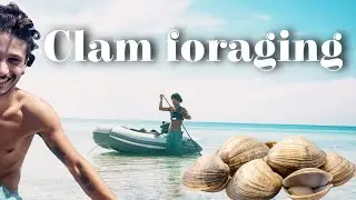 Студия музыки для парусников + Поиск моллюсков на отдалённом острове Кубы (Эпизод 26)