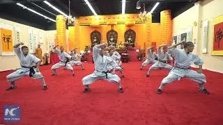 Kung Fu performance to celebrate Shaolin Cultural Centre&rsquo;s one-year anniversary in Canada