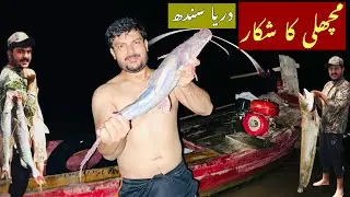 Fishing vlog indus river ||singhara fish || #indusriver #pakistan #