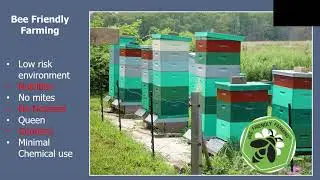 RIBA Presents: Dan Conlon (Warm Colors Apiary), 1-17-21