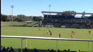 Jacob Chapman GK NSW NPL1 | 2016 HIGHLIGHTS