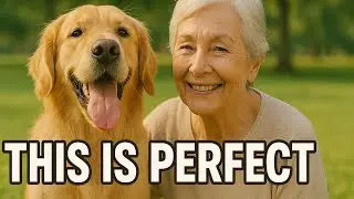 Best Dogs for Seniors Retirees Senior Citizens - 9 Dogs Breeds Low Maintenance Don't Shed