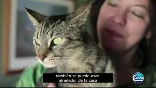 &iquest;C&oacute;mo funciona Feliway?