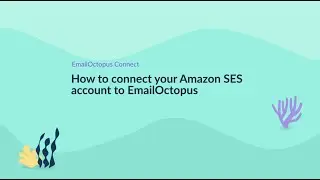 Как подключить свой аккаунт Amazon SES к EmailOctopus