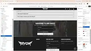 Master the Newsletter Section in Debutify Theme