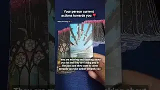 Your person current actions towards you ❣️ #shorttarot #shortarot