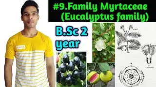 Family Myrtaceae||Floral daigram and floral formula and Economic importance||B.Sc 2 year