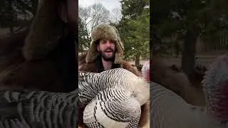 Мы собираемся съесть 46 миллионов индеек 😱🦃