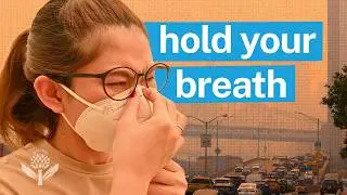 Did You Know: How is Air Quality Measured? | Encyclopaedia Britannica