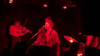 Greg Freeman - “Palms”