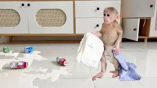 Surprise! Lucky Spilled Milk All Over the House: You’ll Be Amazed at How She Handled It!
