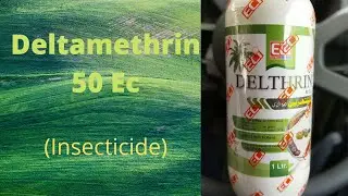 Deltamethrin - 50 EC Insecticide / Uses & Their Mode of Action ( Urdu/Hindi)