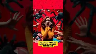 as 3 aranhas dom&eacute;sticas mais venenosas que est&atilde;o no Brasil