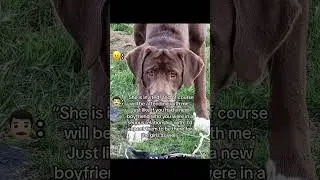 Моя токсичная бывшая жена часть 5