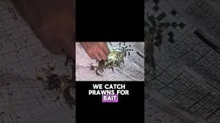 Рыбалка с местным рыбаком в Рабате