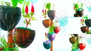 Natural Looking Flower Pot From Coconut Husk |  Eco-friendly & Organic pot //GREEN PLANTS