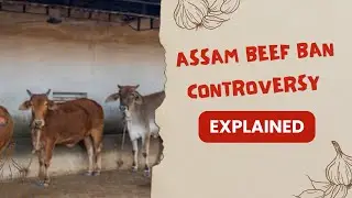 Assam Beef Ban Controversy EXPLAINED: Himanta Biswa Sarma&rsquo;s BOLD moves & clashes!