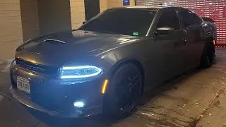 POV DRIVE STRAIGHT PIPED CATLESS SRT 392