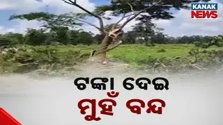 Nabarangpur Progress Kills Nature: Mass Tree Cutting In Odisha&rsquo;s Dabugaon Sparks Outcry