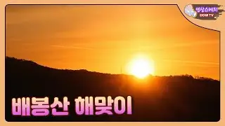 해가 뜨는 순간, 마음도 밝아졌습니다 🌅｜배봉산 해맞이 현장