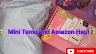 ✨🧚🏾‍♀️Mini Temu and Amazon Haul✨🧚🏾‍♀️