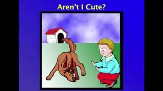 Safety Around Dogs - A Workshop for Kids