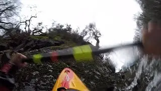 kayaking the dart loop in an axiom