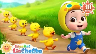 Cinco Patitos | Canción de la Granja | LiaChaCha en Español - Canciones Infantiles
