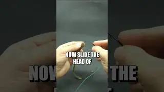 How to rig a rubber worm like a PRO!💡 ✅️