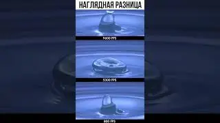 видео или нет