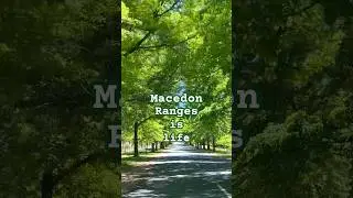 Melbourne travel ideas for you | Visit Mount Macedon on a day trip!