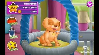 My first ever video! Playing little live pets game. :)