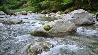 Divine Healing Music | Peaceful Nature Sound & Flowing River to Reconnect with the Universe Within