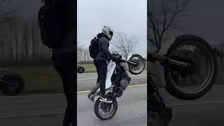 Foot Peg Wheelie on Vitpilen 401 🔥 #wheelie #stunt #vitpilen #husqvarna #motorcycle  #shorts
