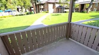 The Newport Apartments in Riverside, CA - ForRent.com
