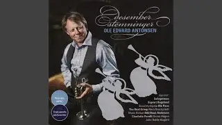Sonjas Sang Til Julestjernen
