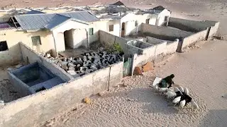 Dadka ku nool magaalada bacaadku aasay!