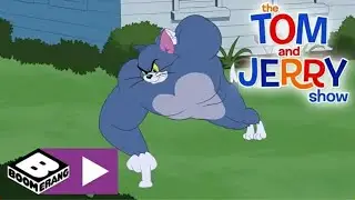 The Tom and Jerry show | Tom the gym cat