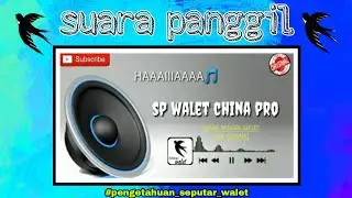 sp walet made in CHINA