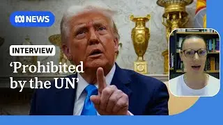 International law expert calls Trump's Gaza proposal 'dramatically unlawful' | ABC News